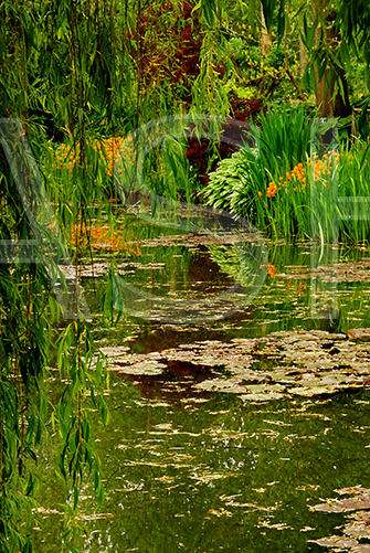 Giverny Alexandre Serain Shuvaloff