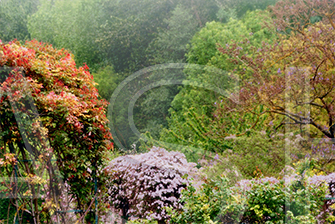Giverny Alexandre Serain Shuvaloff